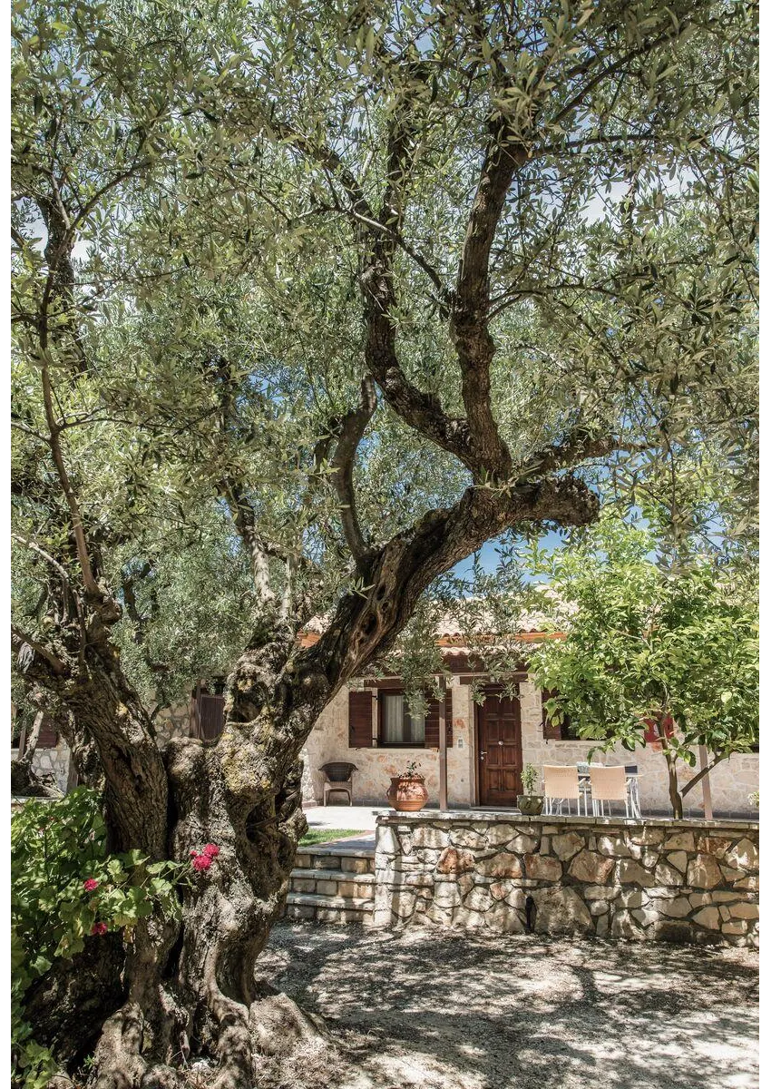 Agrikia Villa -18