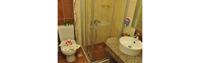 Selenium Hotel 3*-10