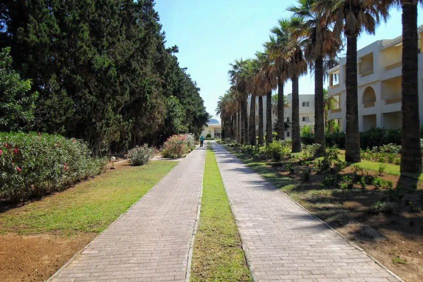 Calimera Delfino Beach Resort & Spa 4*-48