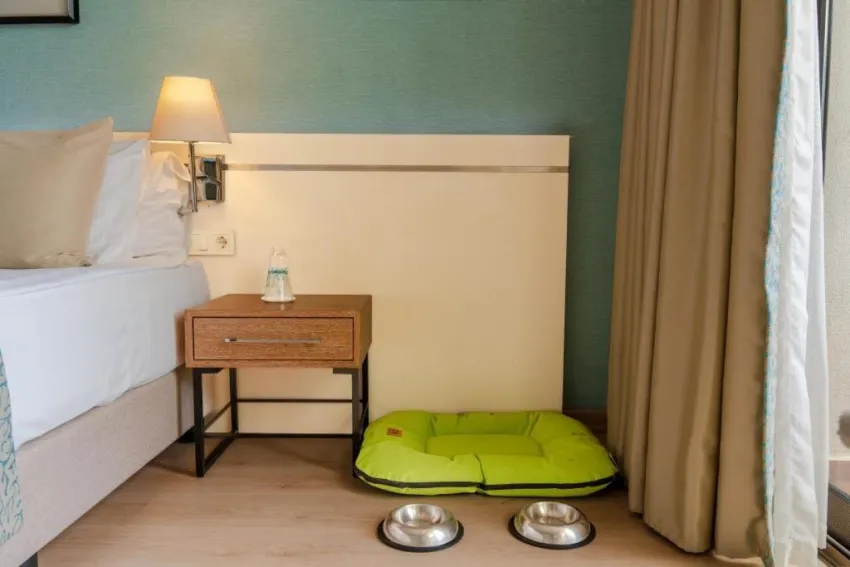 Castival Hotel 5*-49