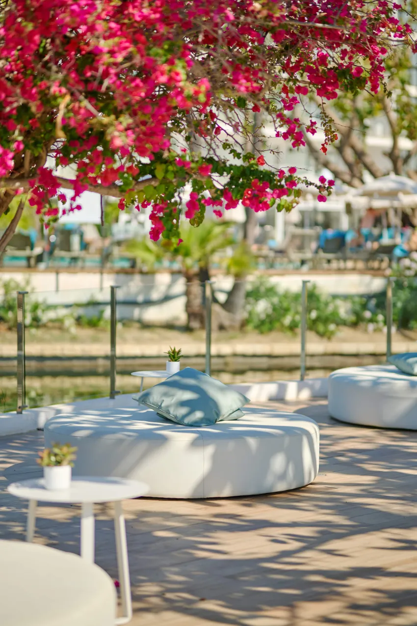 Alua Boccaccio 4*-92