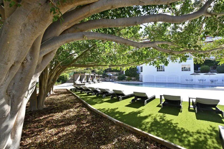 Salles Hotel Marina Portals 4*-99