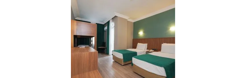 Ergun Hotel 3*-7