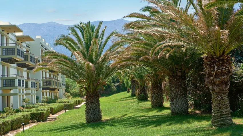 Grecotel Meli Palace 4*-36