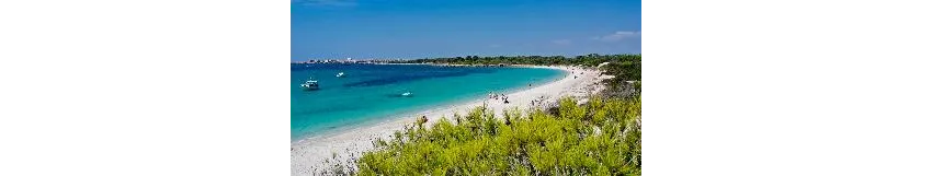 Isla de Cabrera Aparthotel 4*-63