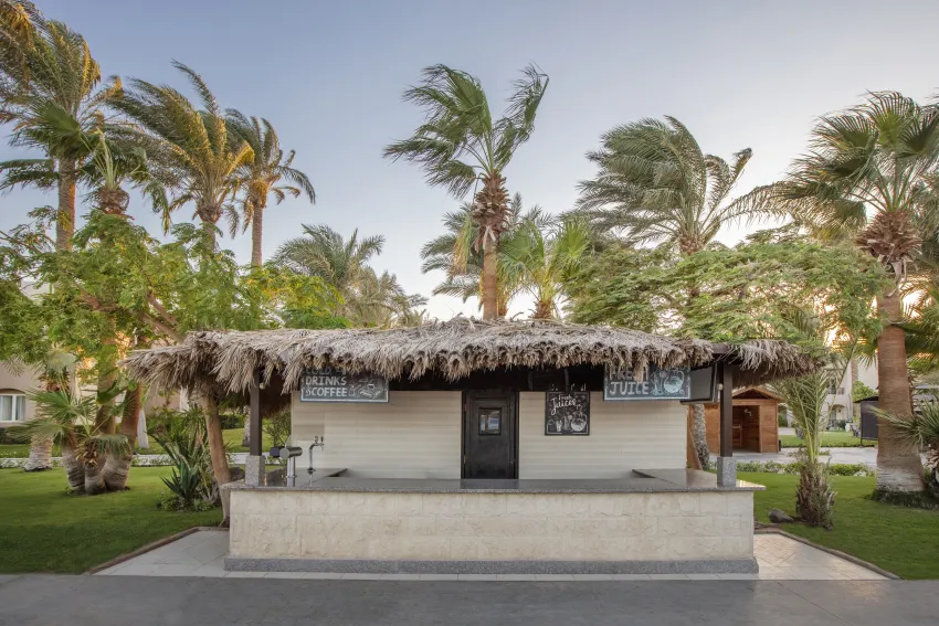 Jaz Makadi Oasis Resort & Club 5*-24