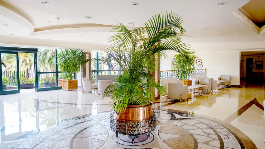 Miramare Queen Hotel 5*-25