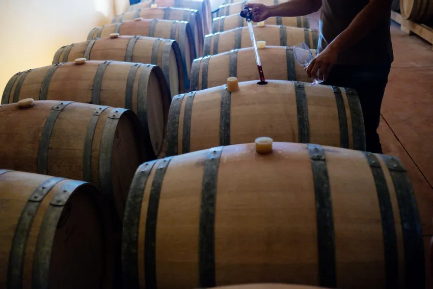 Paralos Irini Mare 4*-123