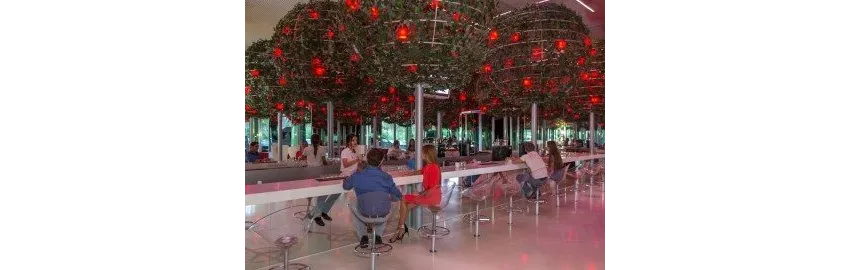 Adam & Eve (Adults Only 16+) 5*-2