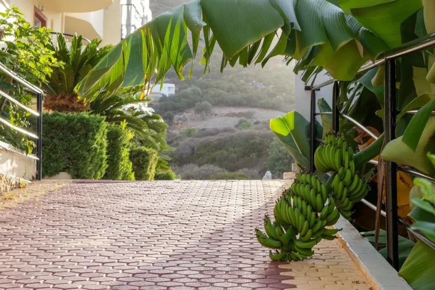 Elpis Studios and Apts 2*-18