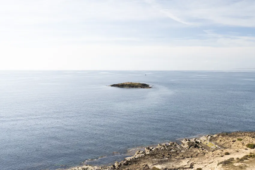 Aluasoul Palma 4*-43