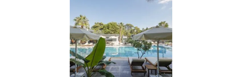 Forest In Hotel 3*-9