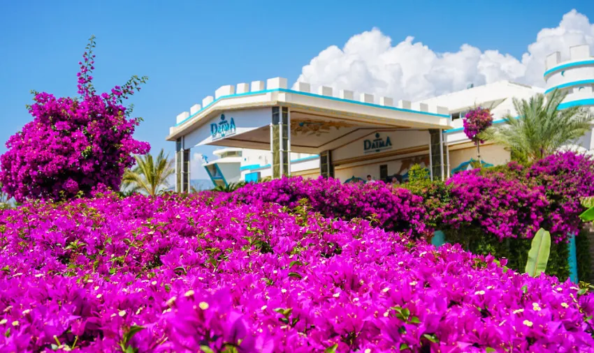 DAIMA BIZ RESORT HOTEL  5*-9