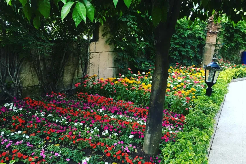 ALERIA BELPORT BEACH HOTEL  4*-6