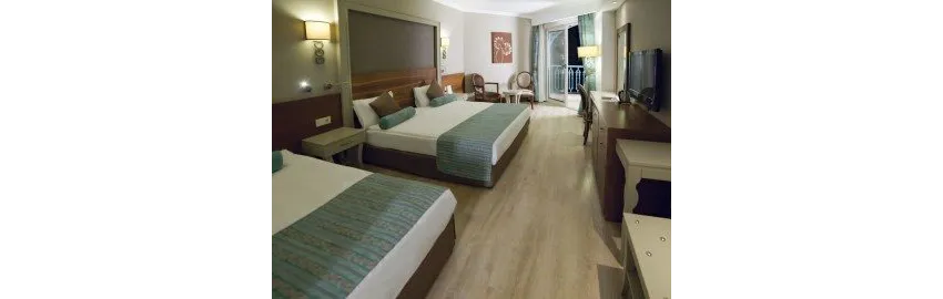 Side Crown Palace 5*-16