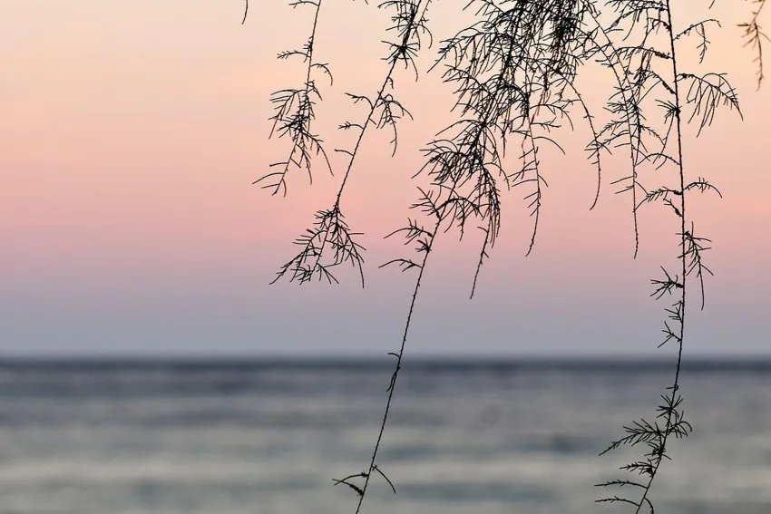 Lito Beach Hotel 3*-21