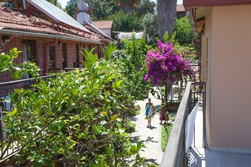 Leda Beach Hotel 3*-10