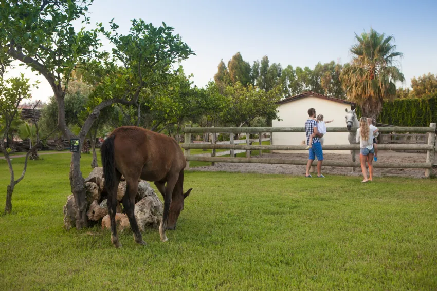 Club Hotel Turan Prince World 5*-96