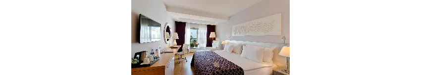 Akra V Hotel 4*-9