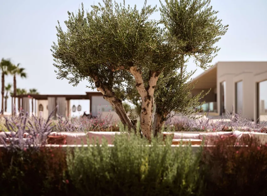 The Royal Senses Curio Collection by Hilton 5*-19