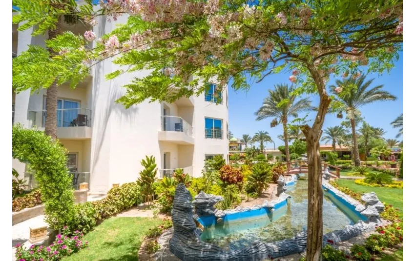 Seagull Beach Resort 4*-16