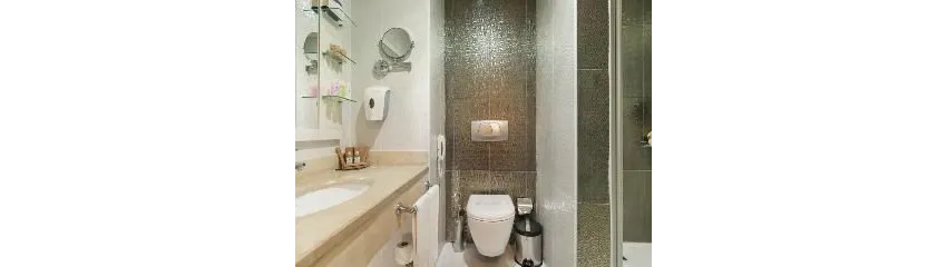 Diamond Excellence Resort (Ex.Crystal Palace Luxury) 5*-13