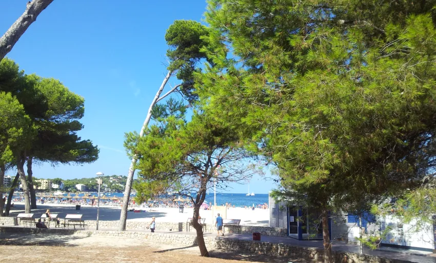 Hotel y Apartamentos Casablanca 3*-51