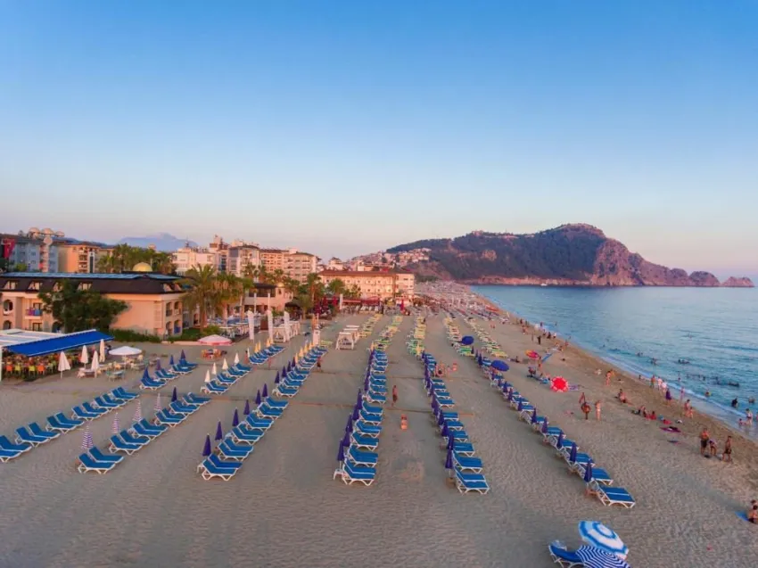 Lonicera City Kleopatra 3*-4