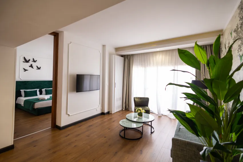 Ajax Hotel 4*-91