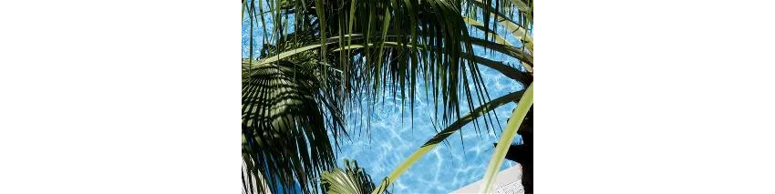 Club Herakles Hotel 4*-26