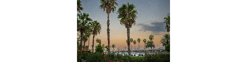 Adora Resort Hotel 5*-22