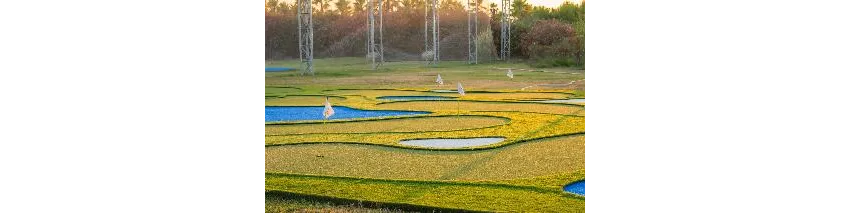 Asteria Family Resort Side (Ex Euphoria Palm Beach) 5*-17