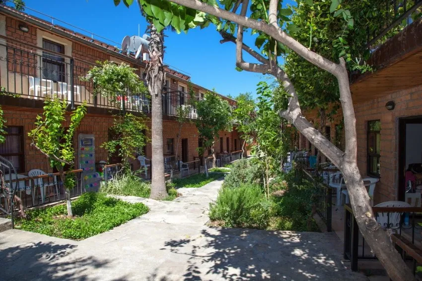 Leda Beach Hotel 3*-8