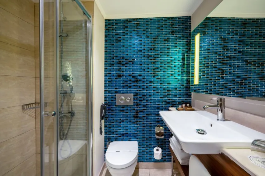 SELECTUM FAMILY RESORT BELEK  5*-47
