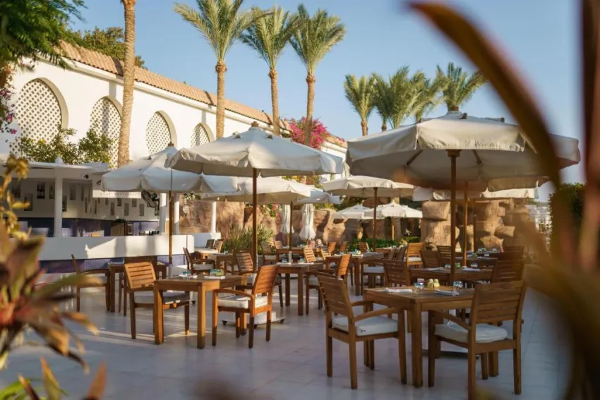 BARON PALMS (ADULTS ONLY 16+)  5*-40