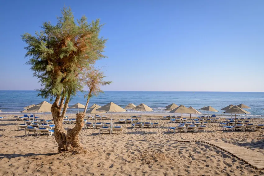 Lyttos Beach 5*-14