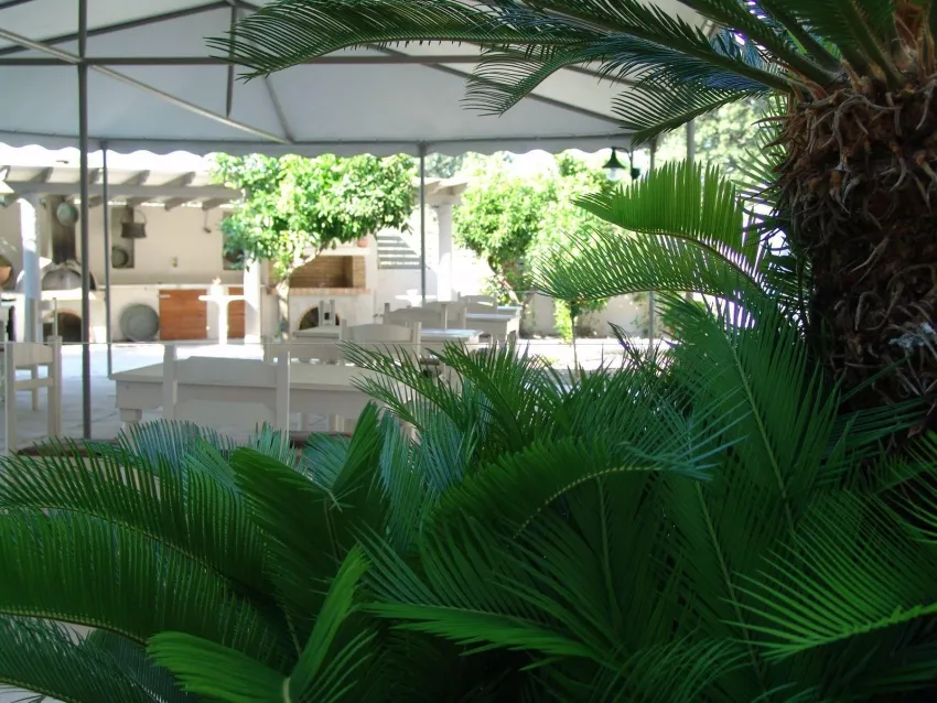 Ivory Hotel 2*-9