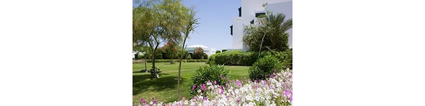 Mercure Hurghada Hotel 4*-82