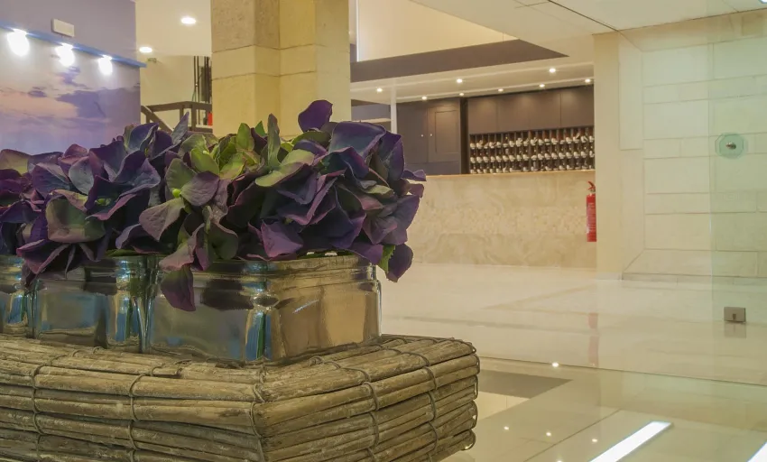 Europa Hotel 3*-8