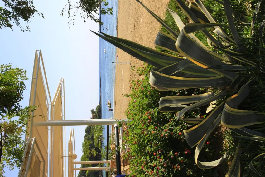 TUI Aqi Pegasos Club 4*-79