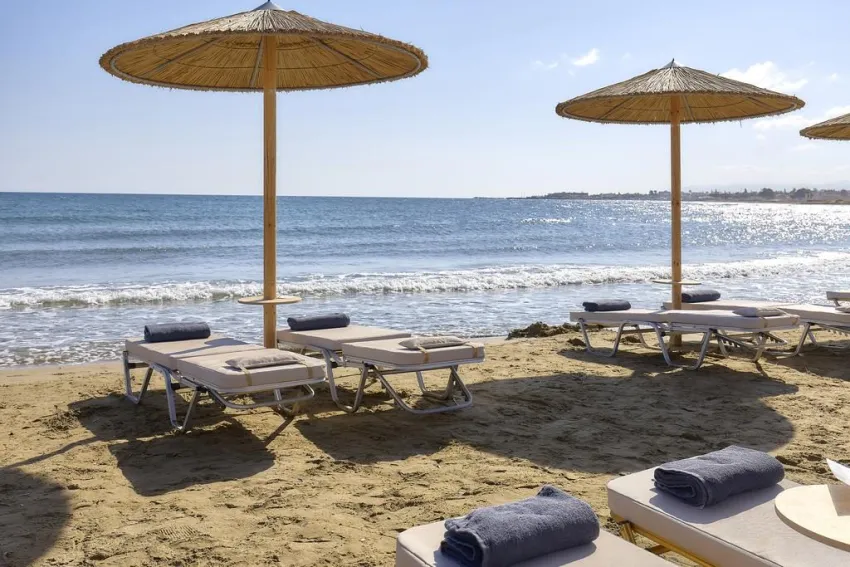 Vasia Royal Hotel 4*-18