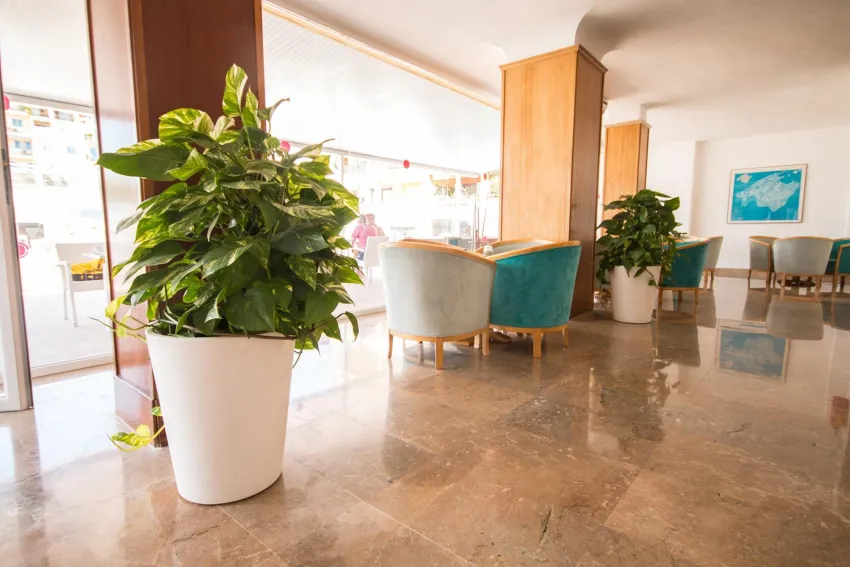 Amic Miraflores Hotel 3*-5