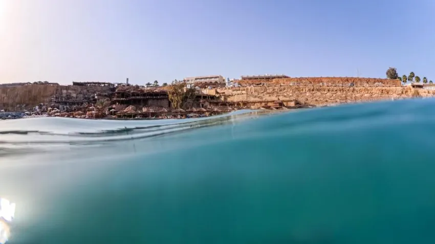 CLUB FARAANA REEF  4*-96