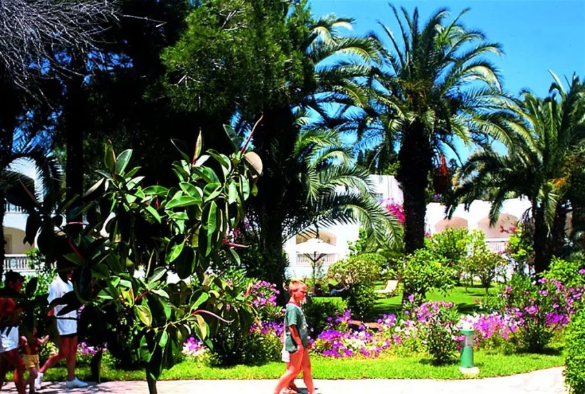 The Orangers Beach Resort & Bungalow 4*-22