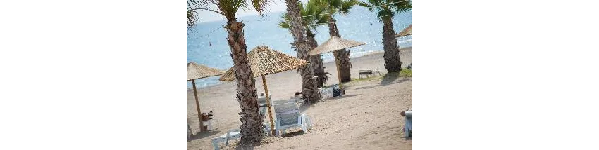 Flora Garden Beach (Adults Only 16+) 5*-97
