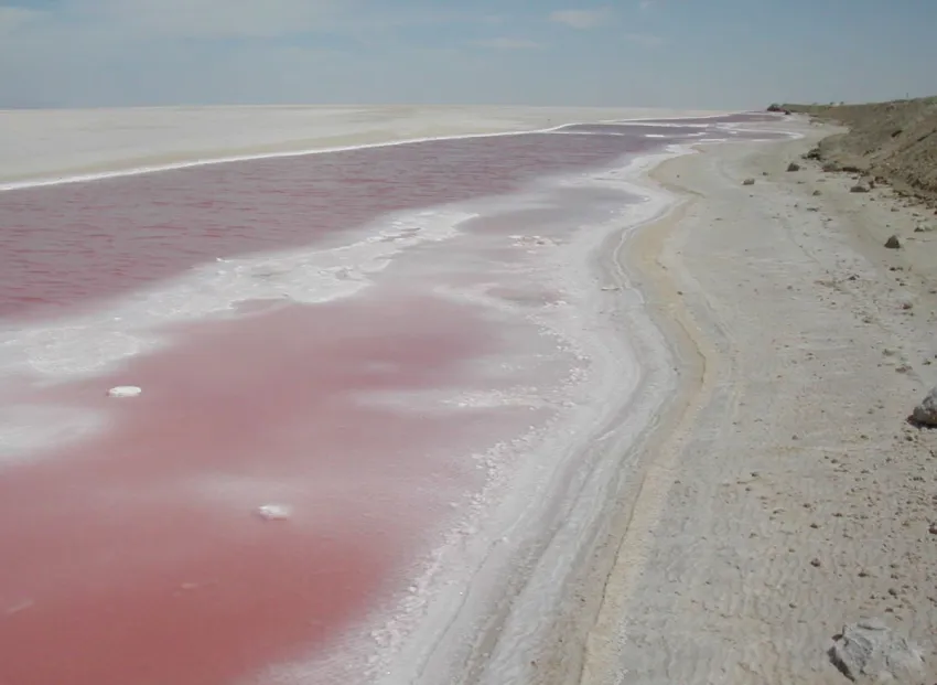 CIRCUIT DISCOVER TUNISIA (1N MARHABA CLUB+2N SAHARA+4N SENTIDO BELLVUE PARK)  4*-5* CIRCUIT-18