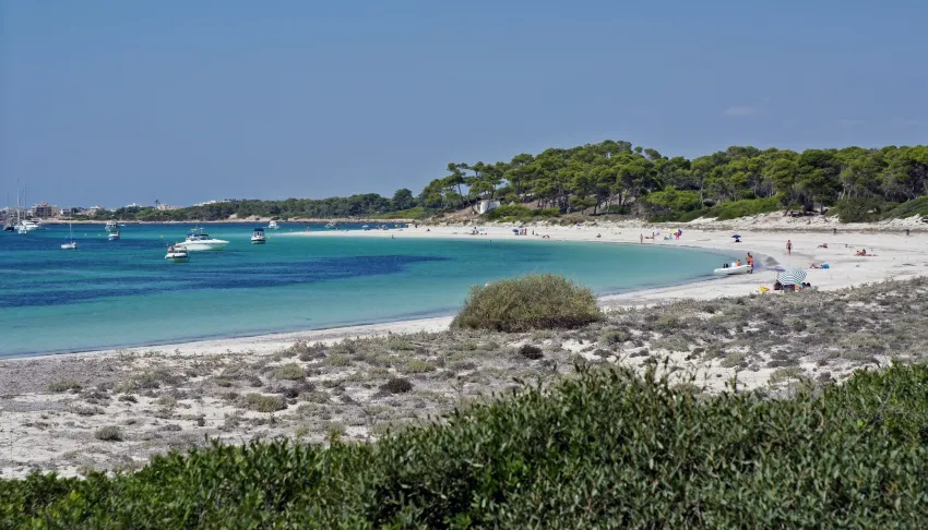 Isla de Cabrera Aparthotel 4*-91