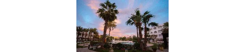 Yasmine Beach 4*-27