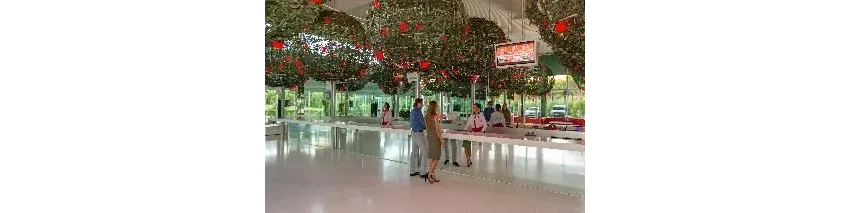 Adam & Eve (Adults Only 16+) 5*-3