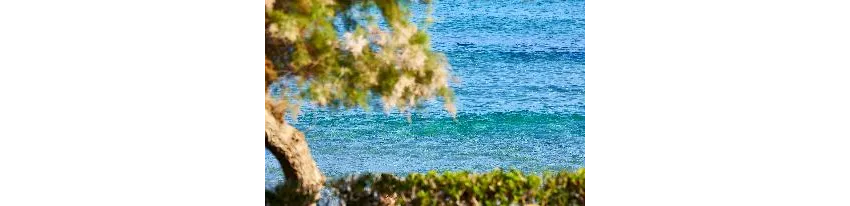 Alexander Beach Hotel And Village Resort 5*-85